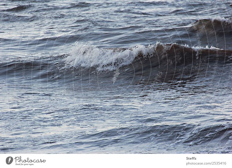 North Sea always new Nordic Maritime Ocean Nordic romanticism Water wave Waves Seaside atmopshere Crest of the wave Bay Blue Gray Romance naturally Swell