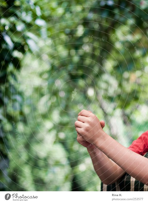 children's hands Human being Child Arm Hand 1 8 - 13 years Infancy Nature Wait Authentic Bright Green Red Rest on Colour photo Exterior shot Reflection