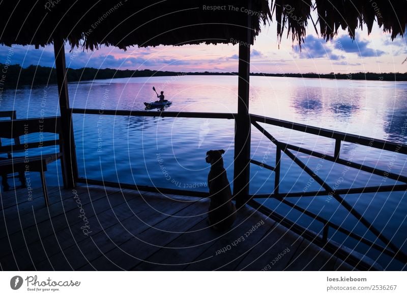 Dog watching girl in canoe at lagoon during sunset Vacation & Travel Tourism Far-off places Summer Sun Beach Ocean Island Waves Aquatics Nature Clouds Sunrise