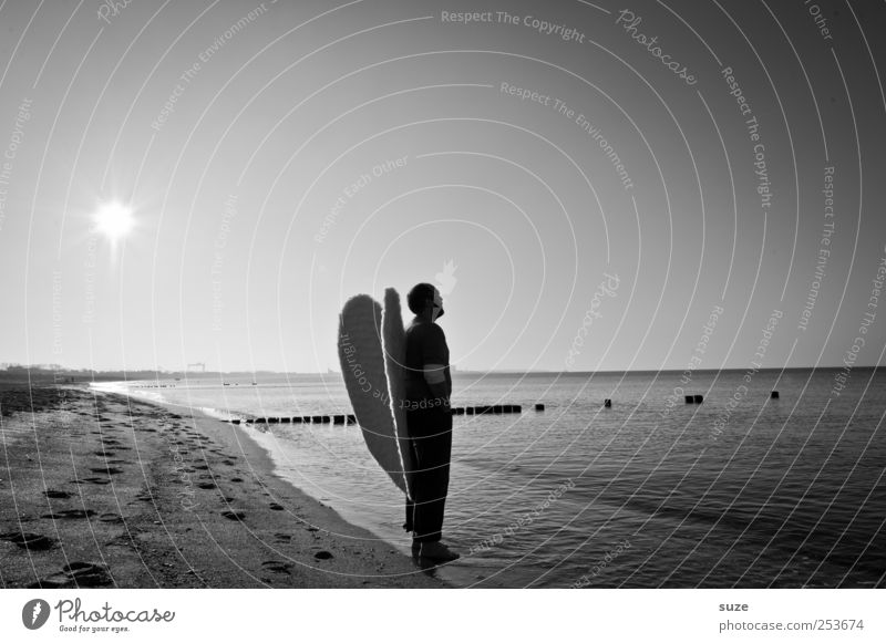 angels Freedom Beach Ocean Human being Masculine Man Adults 1 30 - 45 years Water Horizon Coast Baltic Sea Wing Angel Exceptional Belief Religion and faith Hope