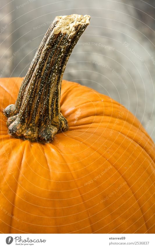 Pumpkin and autumn leaves on wood Autumn Food Healthy Eating Food photograph Orange Vegetable Hallowe'en Festive Seasons October Dog food Wood Rustic Leaf