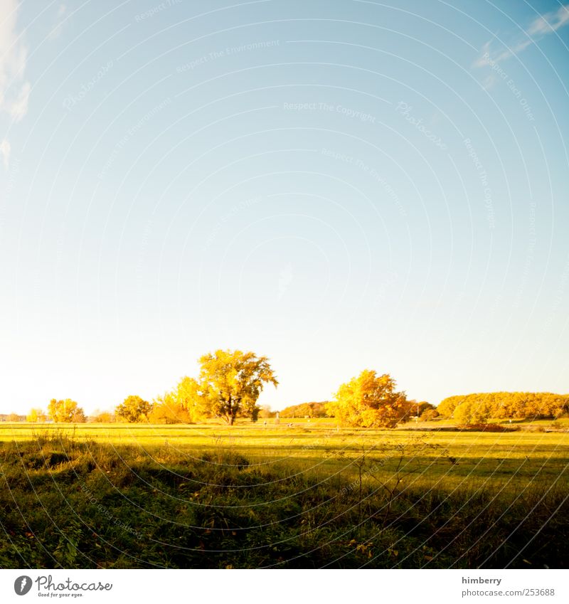 autumn weather Agriculture Forestry Art Environment Nature Landscape Plant Sunrise Sunset Sunlight Summer Autumn Climate Climate change Weather