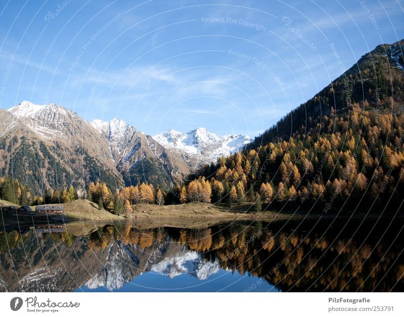 + Environment Nature Landscape Water Sky Autumn Beautiful weather Tree Forest Peak Snowcapped peak Lake Duisitz Lake Hut Exceptional Happy Blue Multicoloured