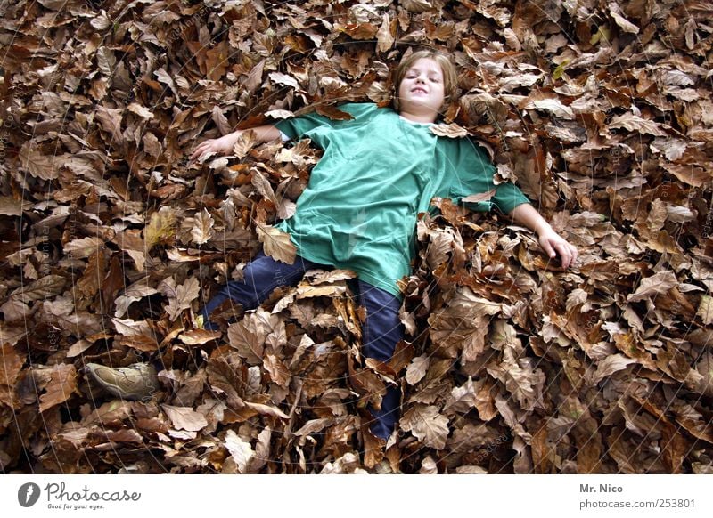 perfect day Girl Environment Autumn Garden Park T-shirt Jeans Blonde Happy Cuddly Brown Green Joy Leaf Contentment Outstretched Lie Dream Safety (feeling of)