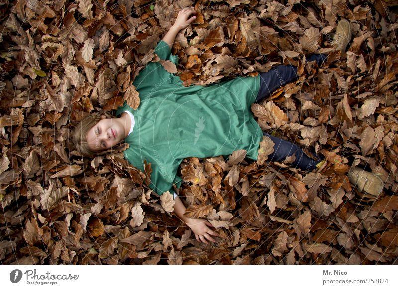 perfect day. the other way around. Girl Infancy Environment Autumn Garden Park T-shirt Jeans Blonde Lie Brown Joy Contentment Outstretched Serene Calm