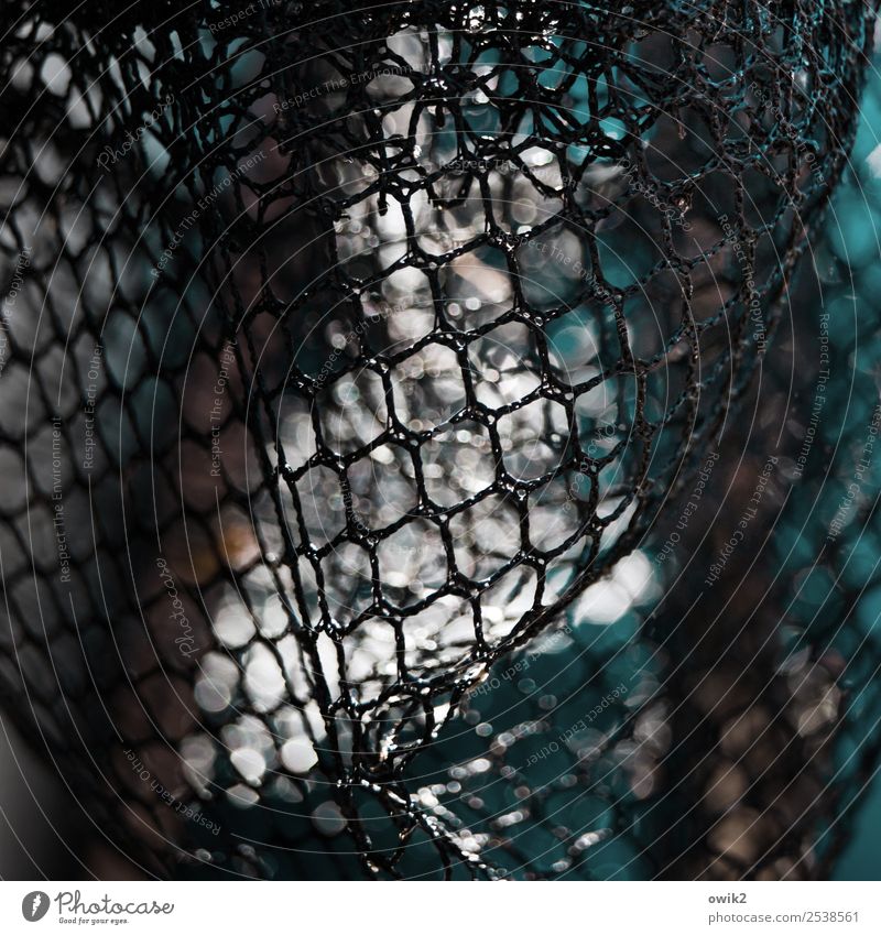 Mashebubu Landing net Net Reticular Loop Plastic Near Patient Unclear Delicate Flexible ductile Colour photo Subdued colour Exterior shot Close-up Detail