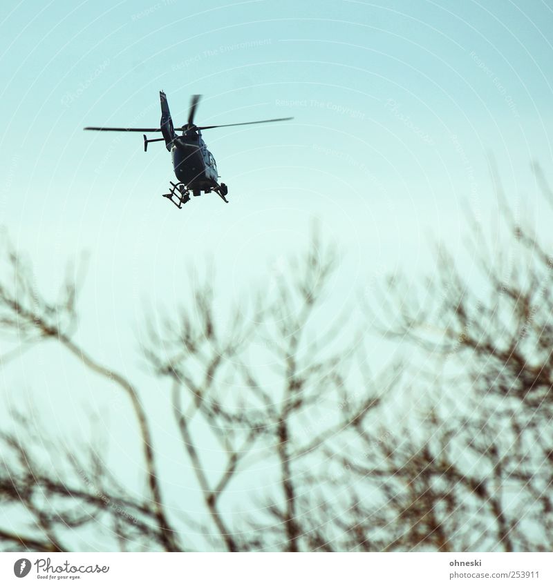 helicopter Sky Tree Branch Transport Aviation Helicopter Flying Fear of flying Colour photo Exterior shot Aerial photograph Shallow depth of field