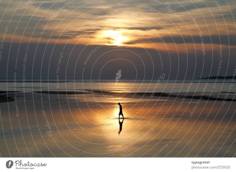 walking man Vacation & Travel Far-off places Summer vacation Beach Ocean Man Adults 1 Human being Clouds Horizon Sunrise Sunset Coast Going Gold Calm