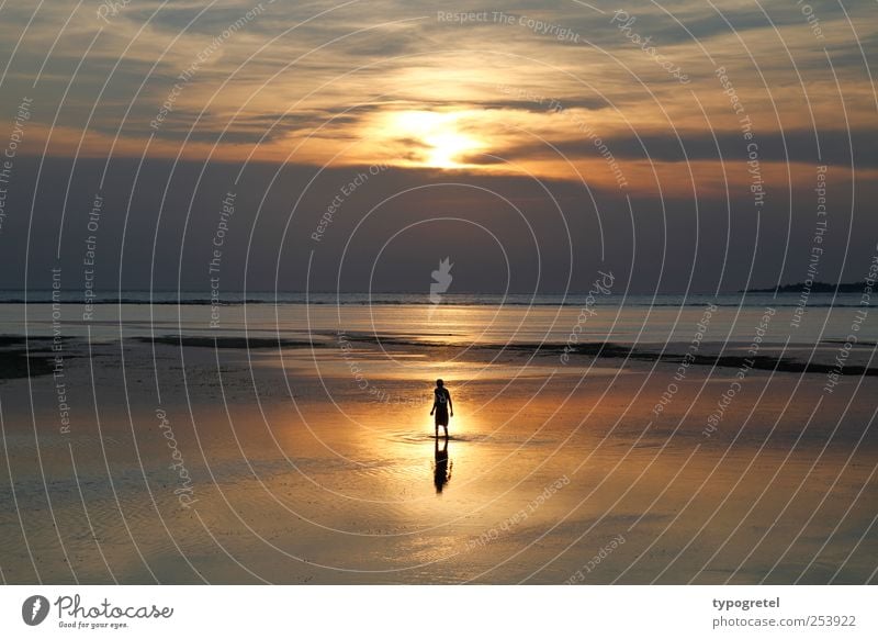 sea of mirrors Vacation & Travel Far-off places Beach Ocean Man Adults 1 Human being Stand Glittering Gold Calm Nature Sunset Clouds Horizon Sea level