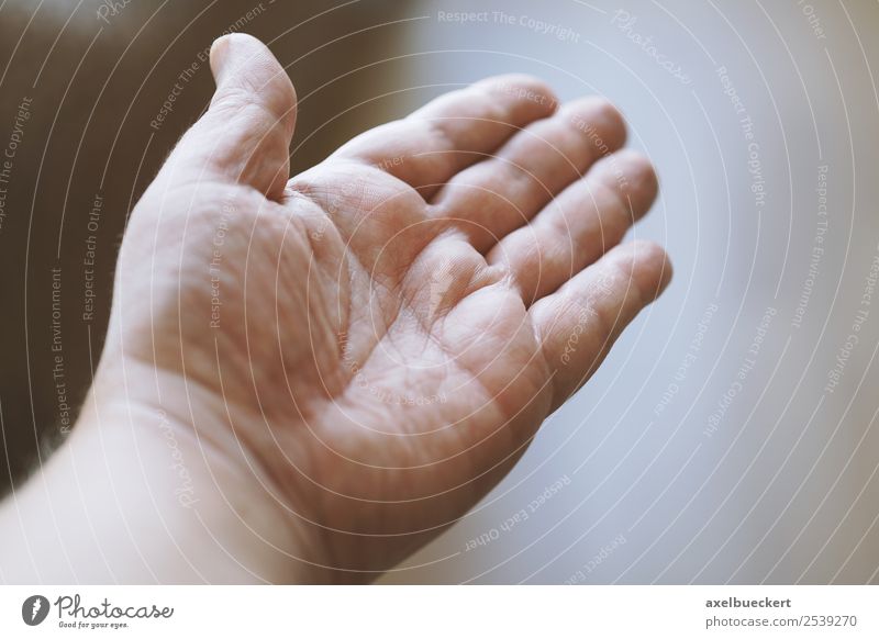 open male hand Human being Masculine Man Adults Hand Fingers Authentic Palm of the hand Gesture Open Help Indicate Colour photo Subdued colour Interior shot