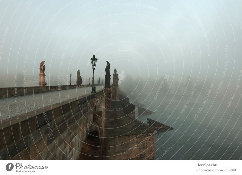 fog bridge Bad weather Fog Tree River bank The Moldau Prague Czech Republic Town Capital city Downtown Old town Deserted Bridge Manmade structures