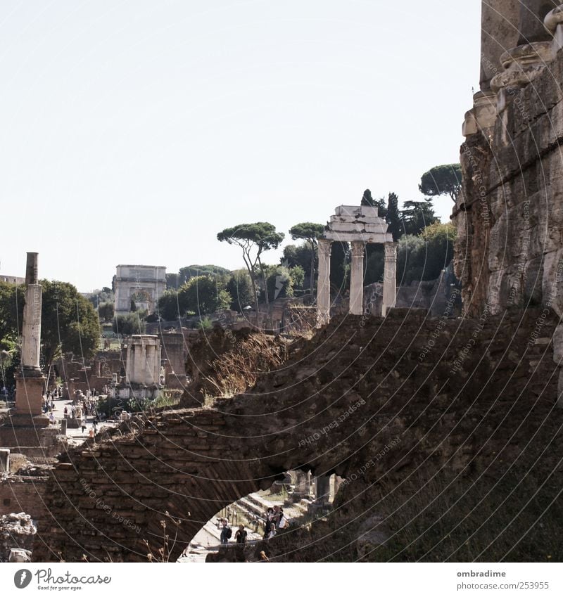 ROM 11-11-11 Art Culture Rome Italy Europe Town Capital city Downtown Old town Ruin Manmade structures Building Column Tourist Attraction Landmark Forum Romano