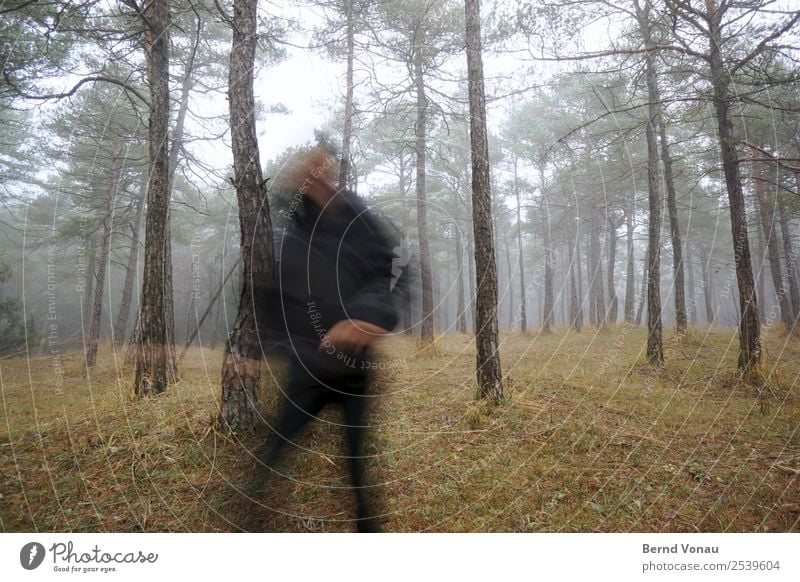 Fuzzy figure running through the forest Human being 1 Environment Nature Autumn Weather Fog Plant Tree Grass Forest Walking Running Escape Blur Jogging Gray