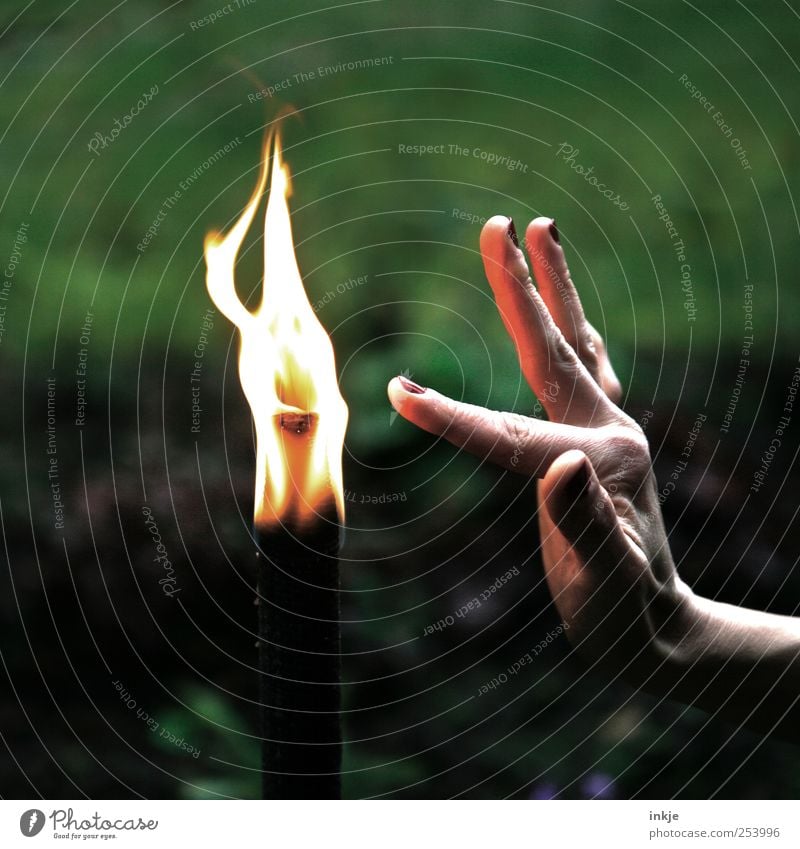 touch the flame... Fire Torch Flame Touch Playing Illuminate Dance Hot Long Near Point Emotions Moody Attentive Caution Self Control Judicious Curiosity