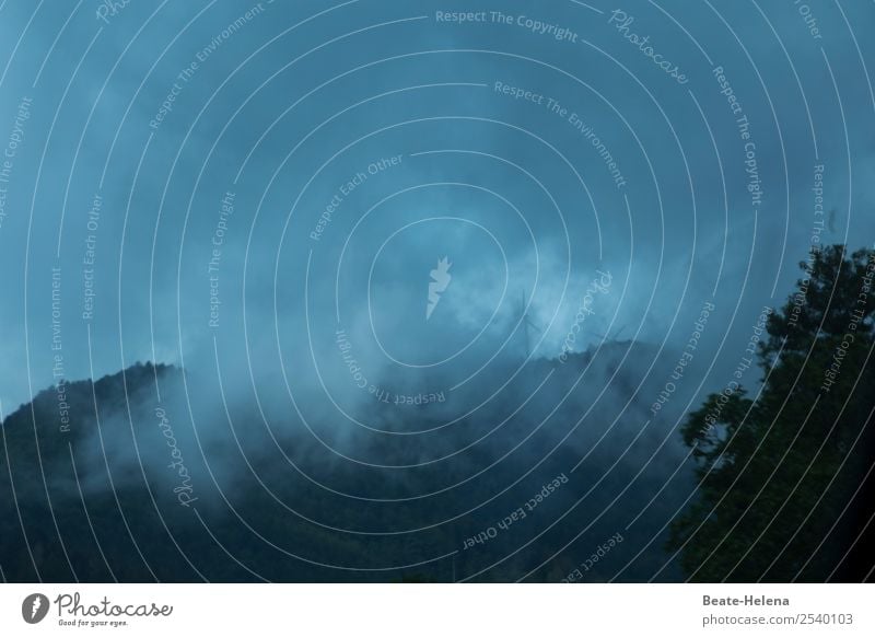 clouded times Trip Nature Landscape Plant Sky Clouds Autumn Weather Bad weather Fog Rain Tree Forest Black Forest Vacation & Travel Esthetic Dark Creepy