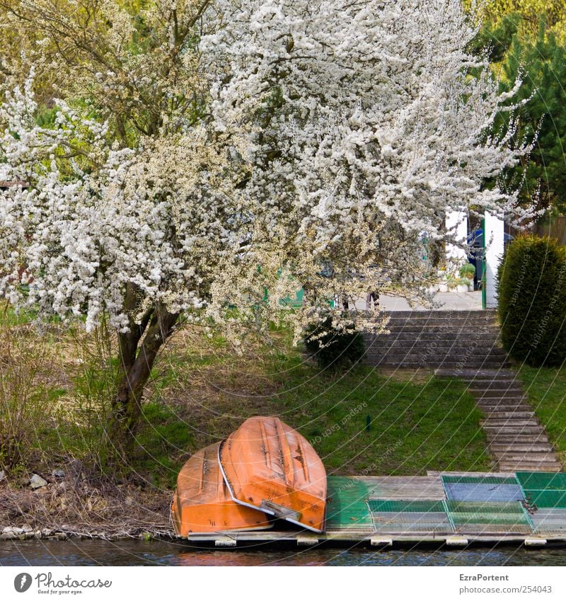 Once upon a time ... Environment Nature Landscape Spring Beautiful weather Tree Grass River Stairs Boating trip Rowboat Relaxation Green Red White out bank