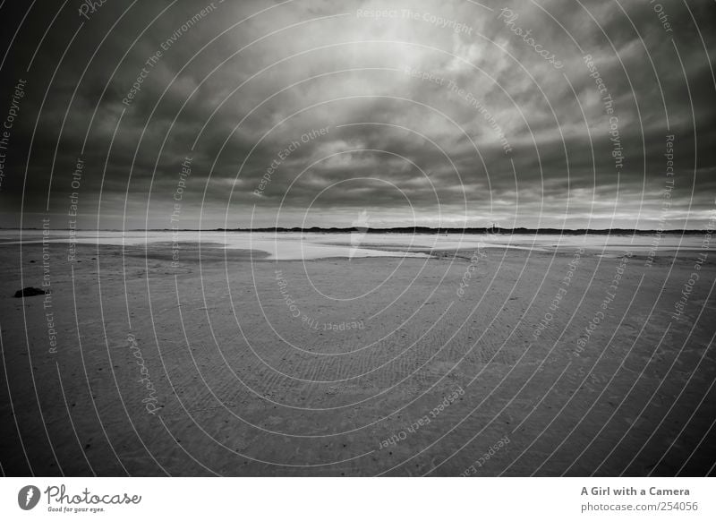 Spiekeroog l hell from above Environment Nature Landscape Elements Sand Water Sky Clouds Storm clouds Bad weather Wind Gale Coast Beach North Sea Ocean Island