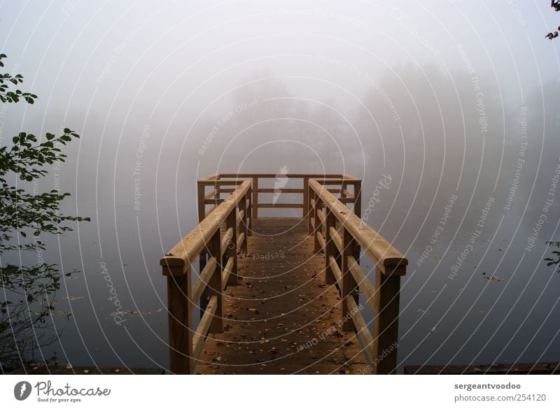 Foggy Lake Rethorn Trip Environment Nature Landscape Water Horizon Autumn Weather Tree Lakeside River bank Footbridge Wood Threat Dark Creepy Cold Gloomy Gray