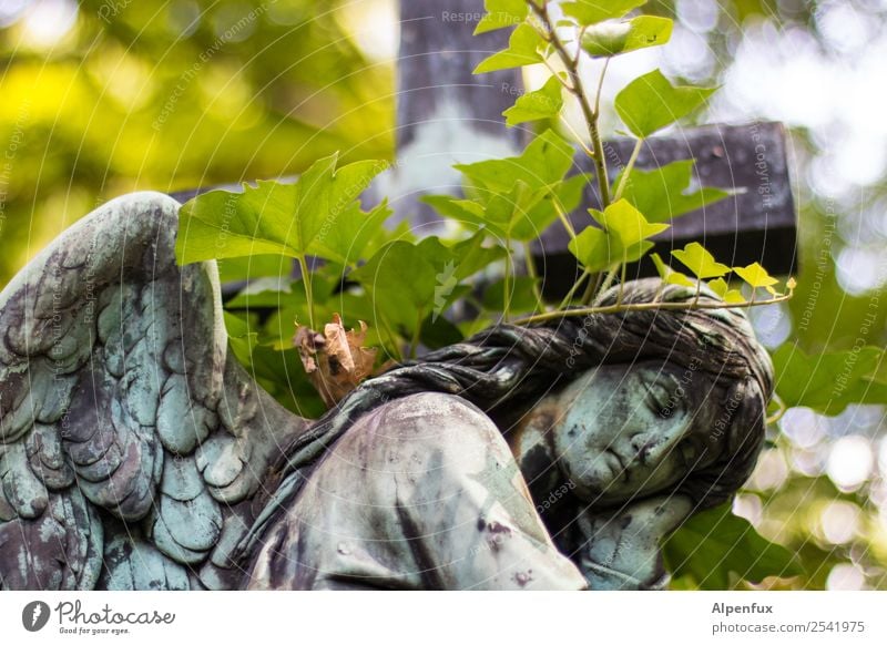 Stony angel. Stone Angel Power Willpower Trust Protection Safety (feeling of) Friendship Together Love Hope Belief Humble Dream Sadness Concern Grief