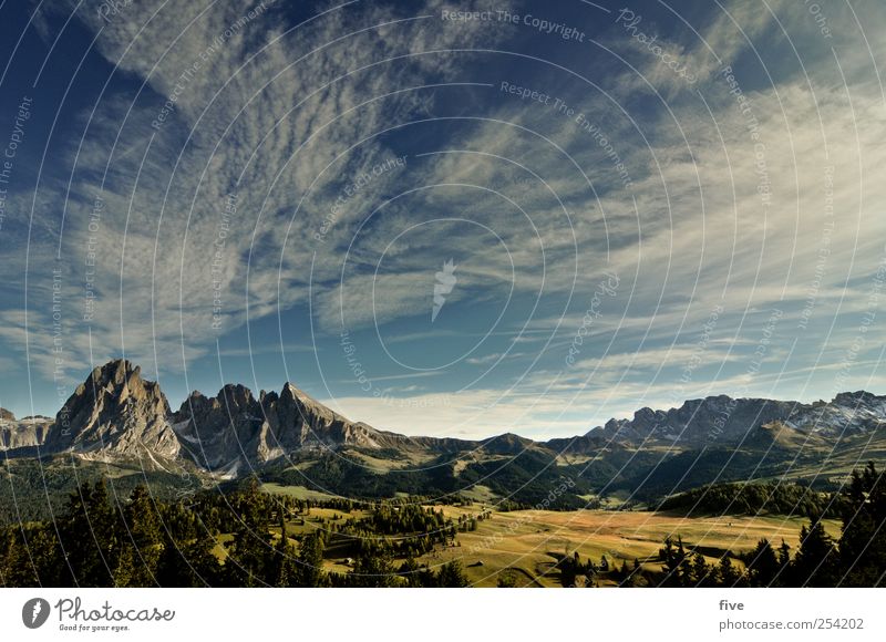 Alpe di Siusi Environment Nature Sky Clouds Autumn Climate Weather Beautiful weather Plant Tree Meadow Forest Hill Rock Alps Mountain Peak Far-off places