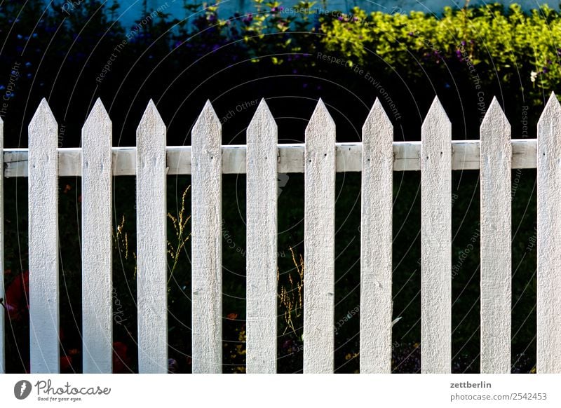 fence Fence Garden fence Wooden fence pile Fence post Wooden board Neighbor Border Barrier Copy Space Deserted White Curiosity Point