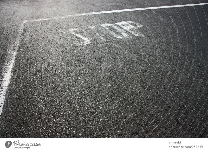 STOP Transport Traffic infrastructure Road traffic Street Road sign Characters Signs and labeling Line Bans Stop Stop sign Colour photo Subdued colour