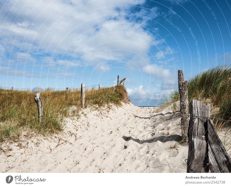 Beach access to the Baltic Sea Relaxation Calm Vacation & Travel Summer Nature Sand Free Beautiful Germany horizon view pathway breeze beachgrass Europe scenic