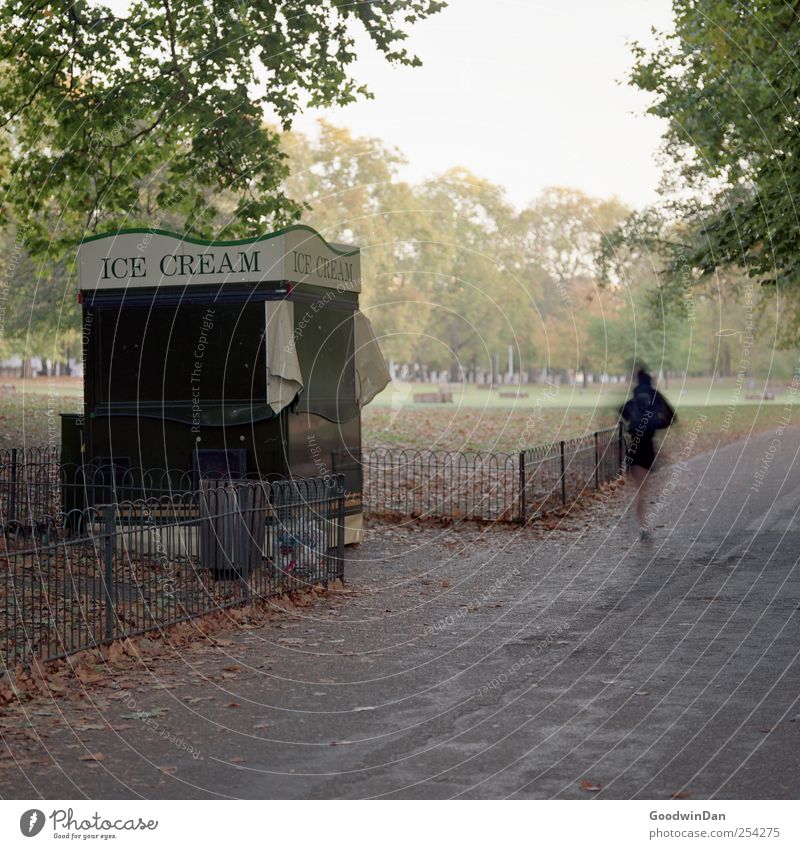 Green Park 6am Human being Woman Adults 1 Environment Nature Capital city Ice-cream stand Fence Walking Authentic Bright Cold Many Moody Colour photo