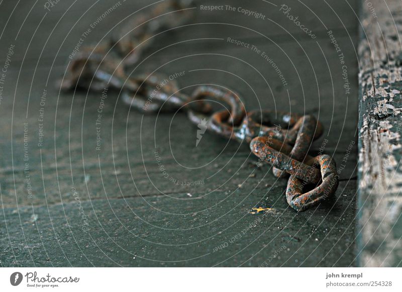 The Nail III Chain link Wood Metal Old Lie Dirty Dark Brown Gray Green Dangerous Apocalyptic sentiment Nostalgia Transience Weathered Rust Colour photo