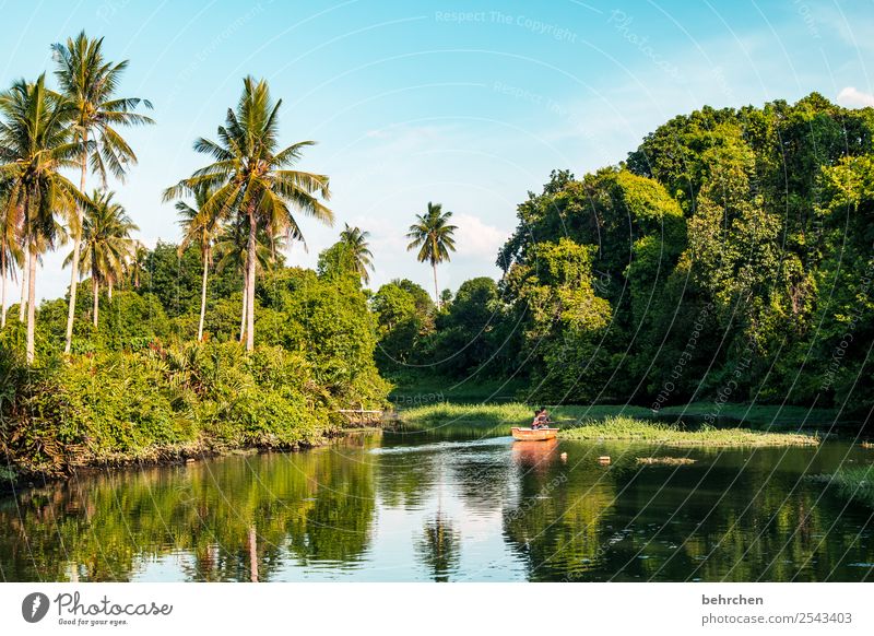 haven of peace Sunset Sunrise Sunlight Contrast Light Asia Reflection Colour photo Exterior shot Evening Twilight Water Relaxation To enjoy Loneliness