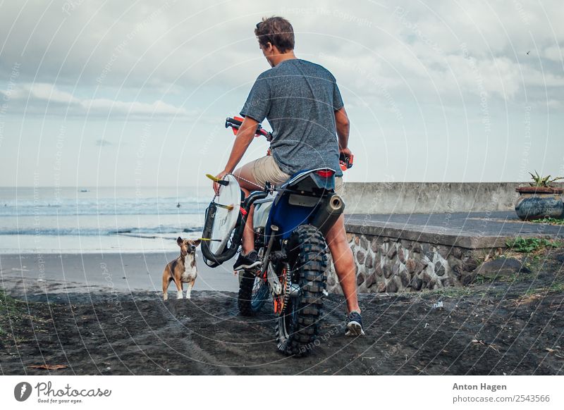 Young man on motorcycle with surf board on sandy seashore Lifestyle Vacation & Travel Trip Adventure Freedom Summer Ocean Waves Sports Motorsports Masculine