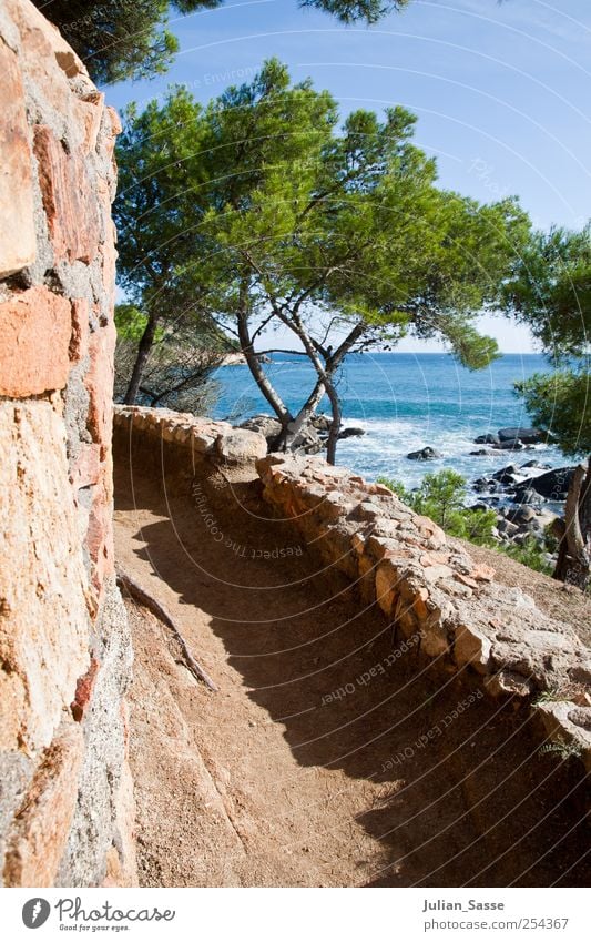 Around the corner Environment Nature Landscape Plant Water Sky Cloudless sky Sun Sunlight Summer Beautiful weather Tree Bushes Waves Beach Bay Ocean Spain