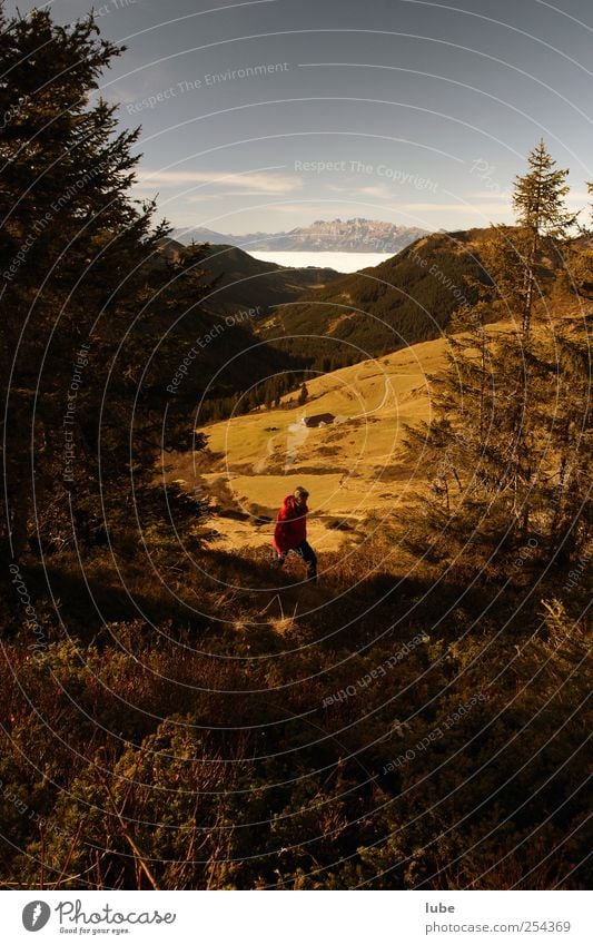 autumn hike Tourism Mountain Hiking 1 Human being 45 - 60 years Adults Environment Nature Landscape Autumn Beautiful weather Hill Rock Alps Peak