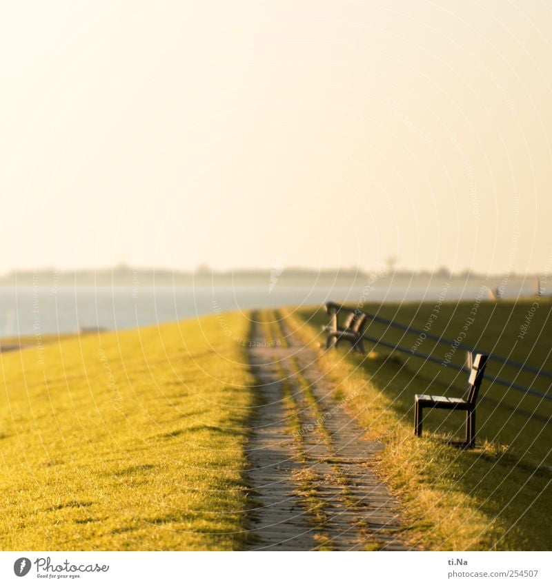 North Sea eavesdropping Grass Coast Mud flats Dithmarschen Schleswig-Holstein Wadden Sea Nature Reserve Relaxation Bright Tourism Colour photo Deserted