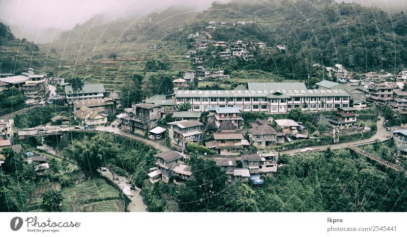 coultivation of rice from banaue unesco site Beautiful Vacation & Travel Mountain Hiking House (Residential Structure) Environment Nature Landscape Plant Earth