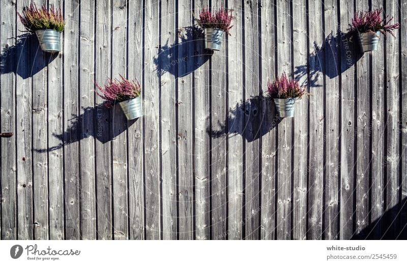 Wooden facade with highlights. House (Residential Structure) Protection Safety (feeling of) Flowerpot Wooden hut Alpine hut Wooden floor Wooden wall