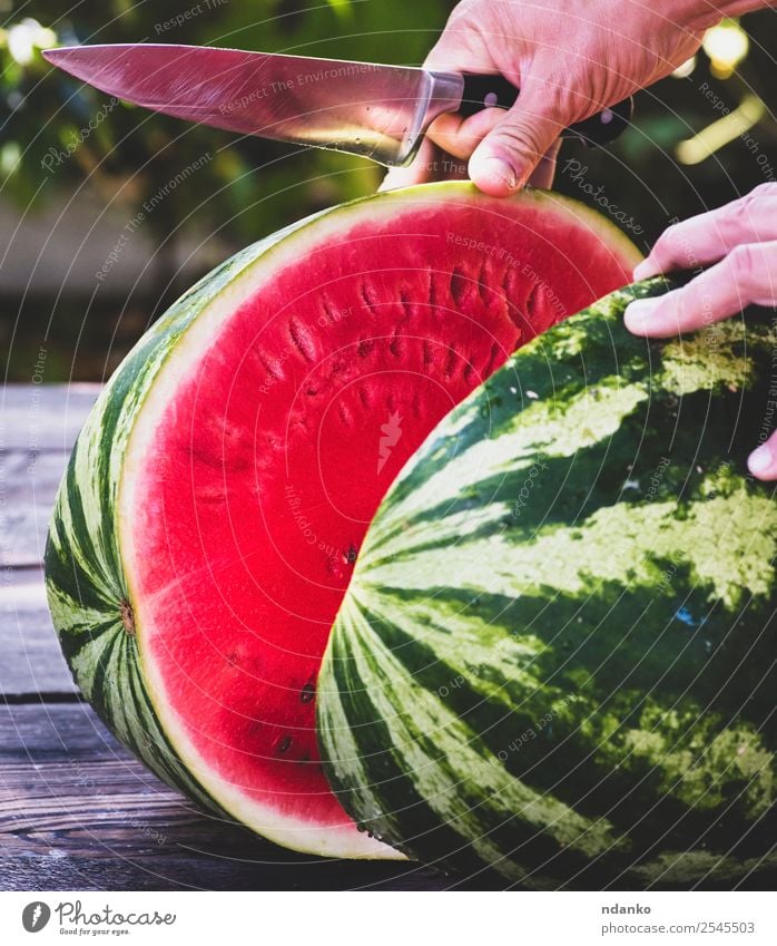 ripe large watermelon Fruit Dessert Nutrition Vegetarian diet Diet Knives Summer Hand Nature Eating Fresh Delicious Natural Juicy Green Red Colour Water melon