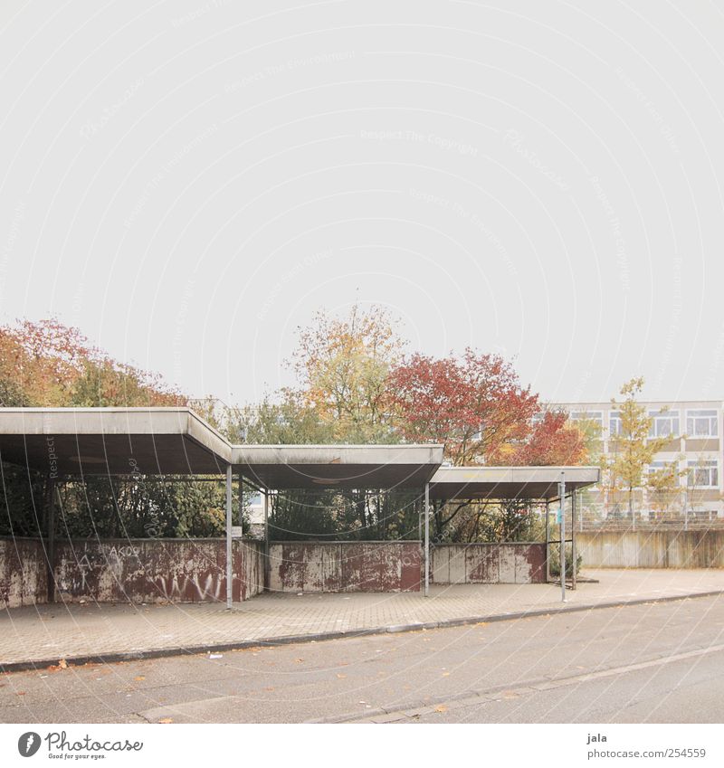 bus stop Sky Autumn Plant Tree House (Residential Structure) Manmade structures Building Architecture Street Lanes & trails Gloomy Bus stop Colour photo