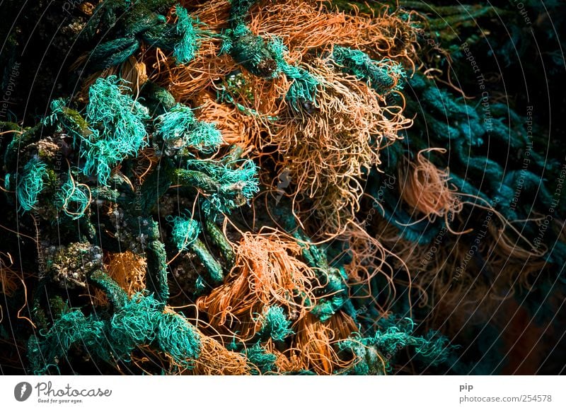 zeelands yarn Fishing net Fisherman Wet Trashy Green Rope Knot Muddled Chaos Orange Flotsam and jetsam Turquoise Disheveled Decompose String Nylon cord Doomed