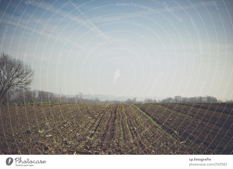 Numero tre del paesaggio Landscape Autumn Agricultural crop Field Modern Vapor trail Exterior shot Day Light Shadow