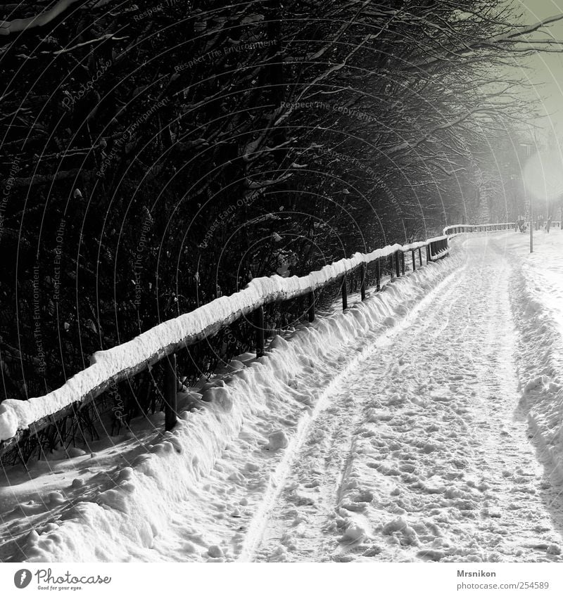 in the distance Nature Landscape Winter Ice Frost Snow Tree Park Field Forest Lanes & trails Dark Gray Black Bizarre Cold Black & white photo Subdued colour