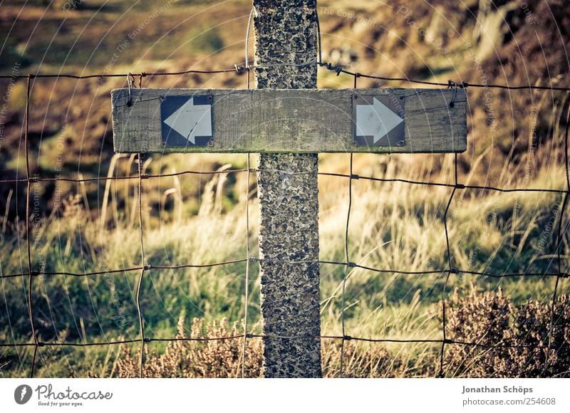 Decision - Fence posts with marking to the left or right Environment Nature Landscape Plant Climate Weather Beautiful weather Brown green Decide Left Right