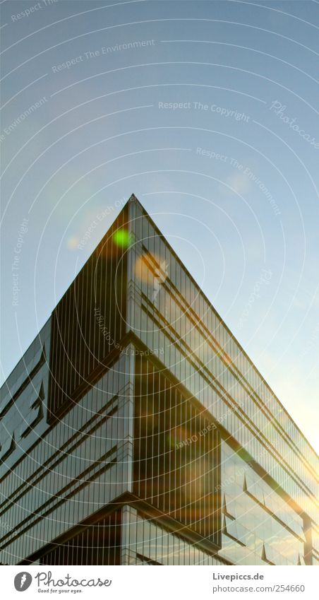 Mr. Spitz! House (Residential Structure) Cloudless sky Beautiful weather Hamburg Port City Building Wall (barrier) Wall (building) Glass Blue Colour photo