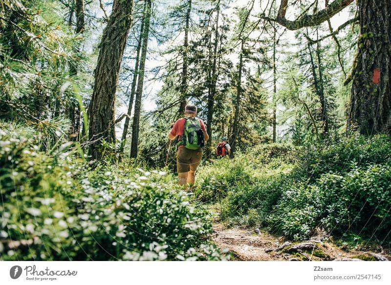 Hike in the Pitztal valley Lifestyle Vacation & Travel Tourism Trip Adventure Summer vacation Hiking Nature Landscape Sunlight Beautiful weather Bushes Forest