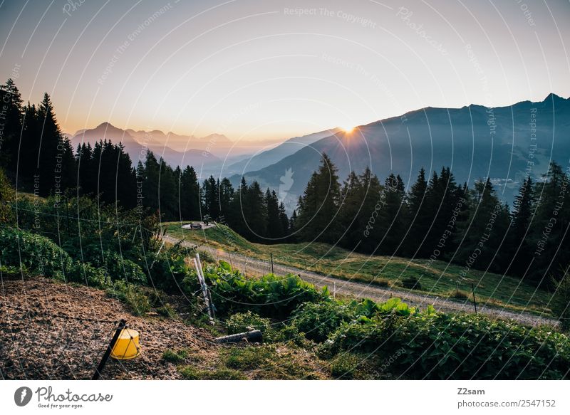 Sunrise in the Pitztal valley Vacation & Travel Trip Summer vacation Mountain Hiking Nature Landscape Sunset Beautiful weather Alps Gigantic Natural Moody