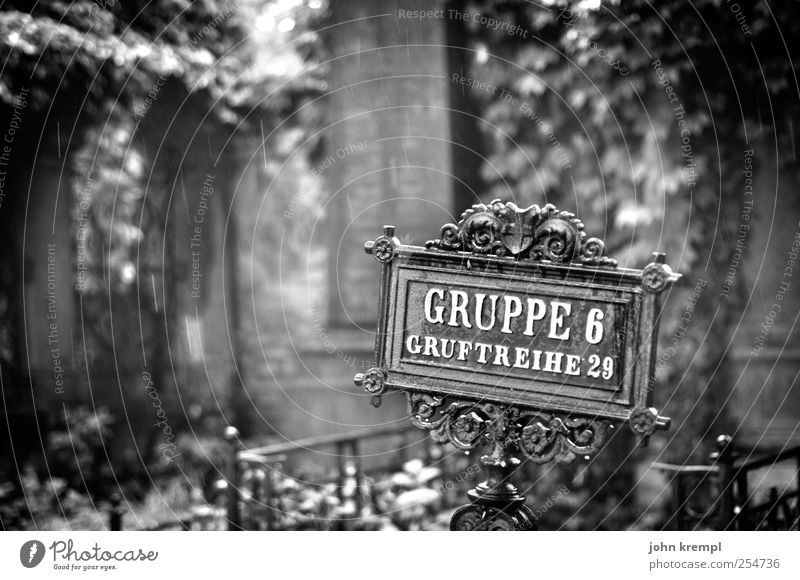 cuddly group Bad weather Rain Ivy Leaf Vienna Central cemetery Austria Cemetery Dark Historic Compassion Peaceful To console Truth Hope Pain Longing Loneliness