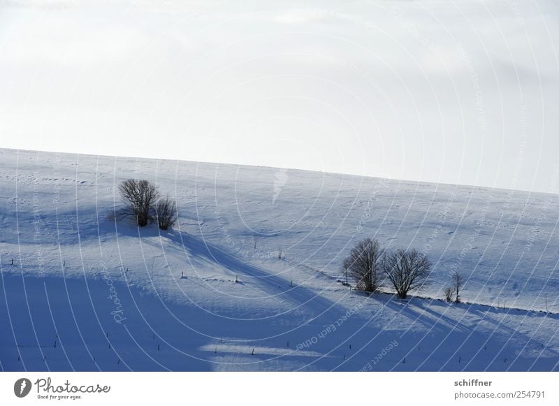 FRdrumrum | Shadow II Landscape Clouds Winter Beautiful weather Ice Frost Snow Plant Tree Cold Bushes Pasture Snowscape Shadow play Sunlight Slope Schauinsland