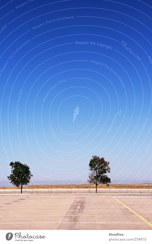 Traffic practice area Basic parking course Parking lot Economy Logistics Fence Curbside Cloudless sky Horizon Summer Tree Denver Deserted Places