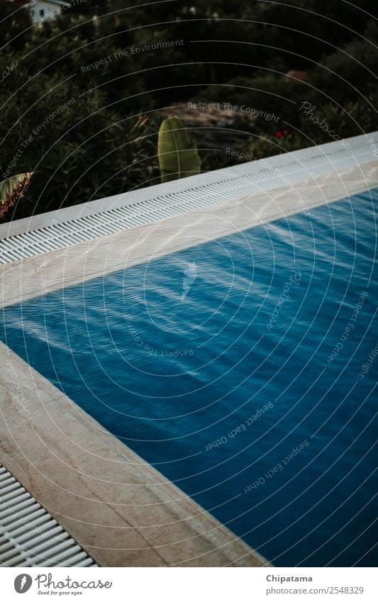 Pool edge on the sunset Style Art Breathe Swimming & Bathing To enjoy Vacation & Travel Esthetic Success Beautiful Blue Joy Happiness Safety (feeling of)