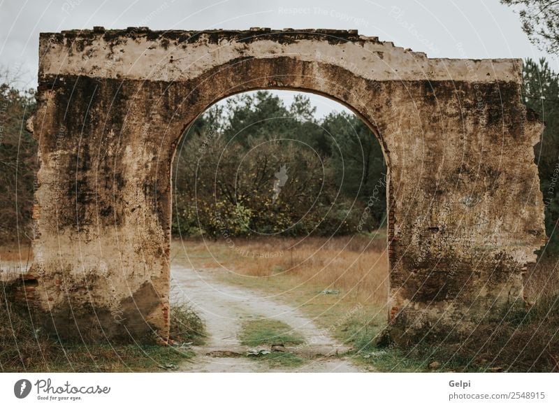 Old ruined construction wall with a bow in the middle Beautiful Vacation & Travel Tourism Art Culture Nature Landscape Grass Rock Town Ruin Building